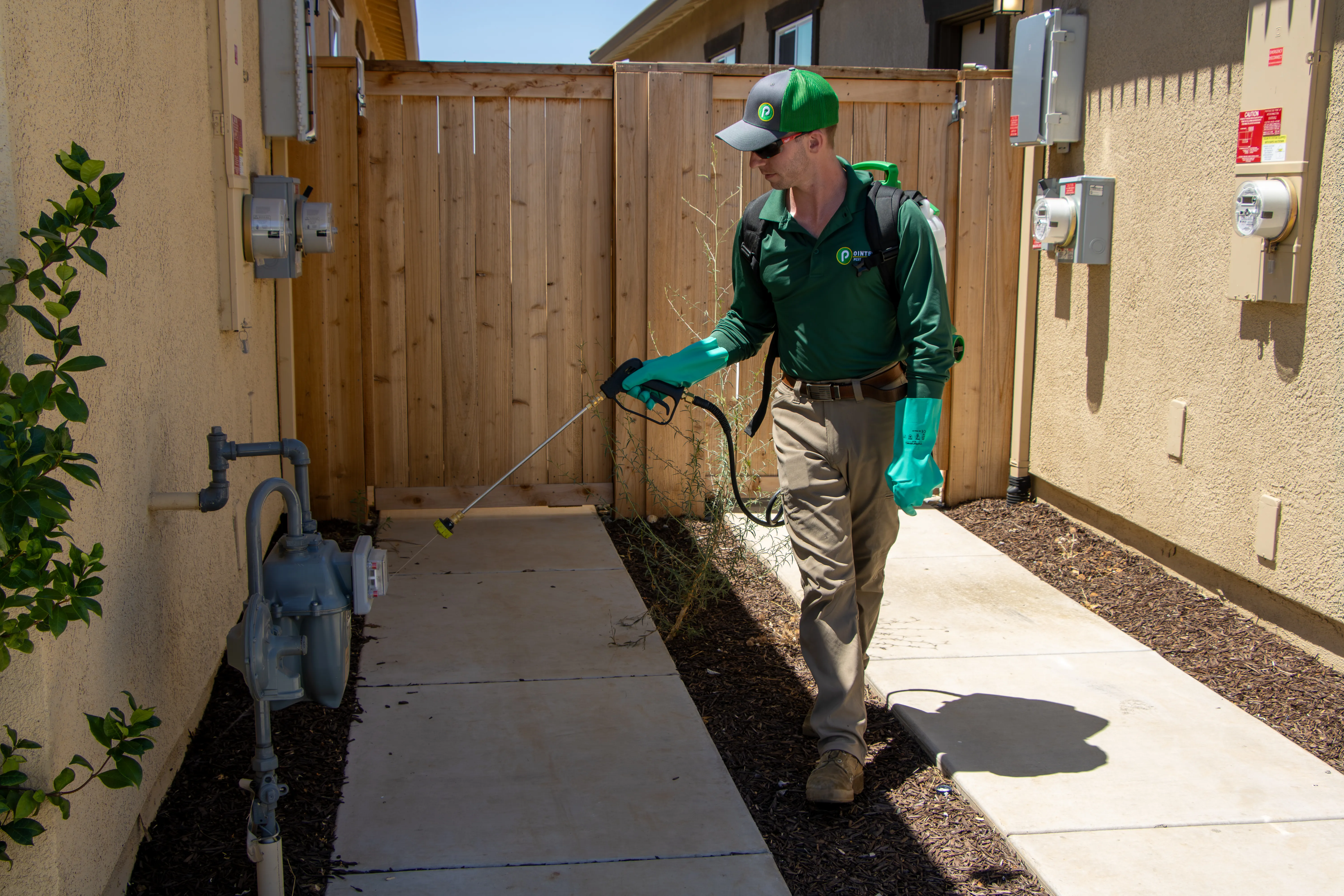 Pointer Pest Control technician treating along the side of a home